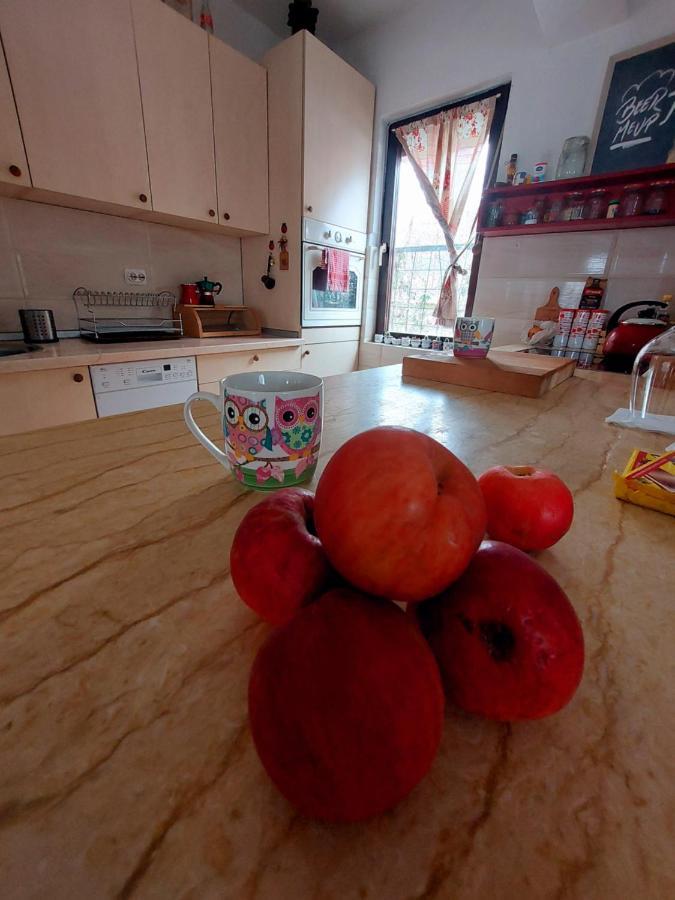 Impeccable Apartment With View In Dolna Matka Üsküp Dış mekan fotoğraf